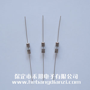 U3.6*10mm 0.5A 